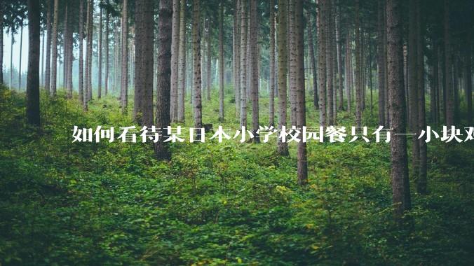 如何看待某日本小学校园餐只有一小块鸡肉？