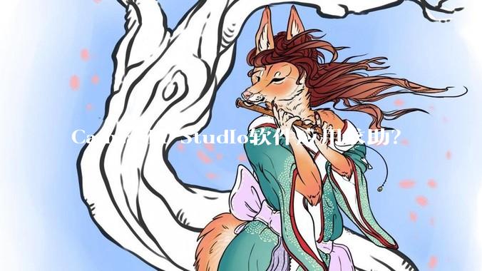 Camtasia Studio软件应用求助？