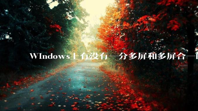 Windows上有没有一分多屏和多屏合一的软件？