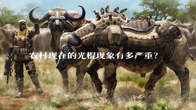 农村现在的光棍现象有多严重？