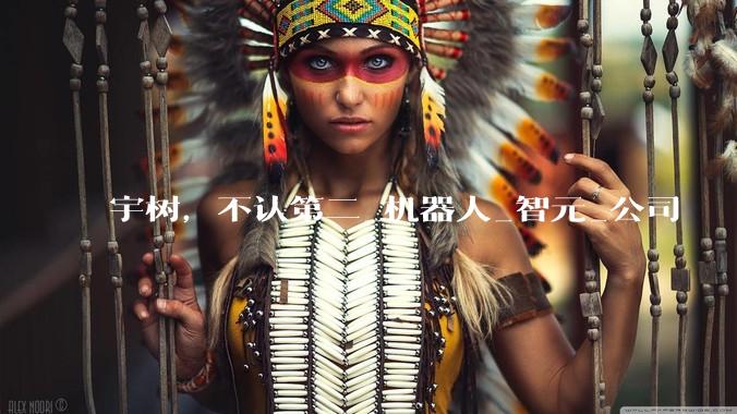 宇树，不认第二_机器人_智元_公司