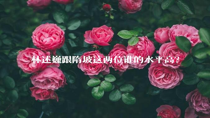 林述巍跟隋坡这两位谁的水平高？