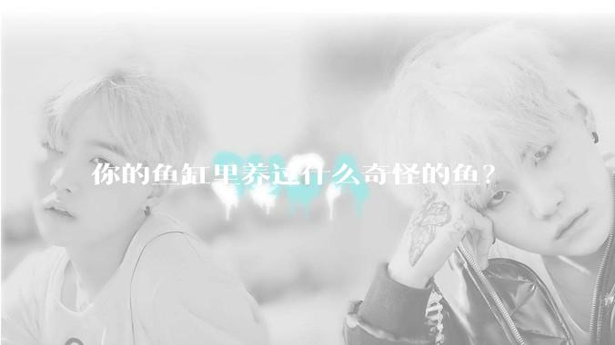 你的鱼缸里养过什么奇怪的鱼？