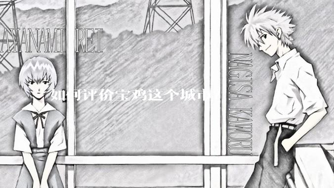 如何评价宝鸡这个城市？