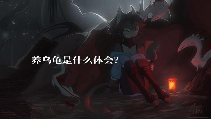 养乌龟是什么体会？