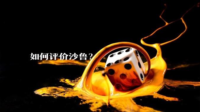 如何评价沙鲁？