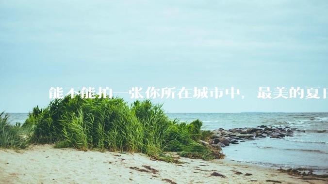 能不能拍一张你所在城市中，最美的夏日角落？