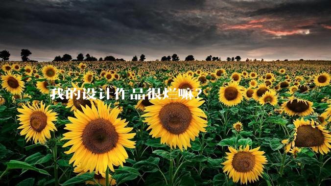 我的设计作品很烂嘛？