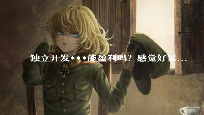 独立开发***能盈利吗？感觉好累...