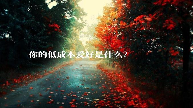 你的低成本爱好是什么？