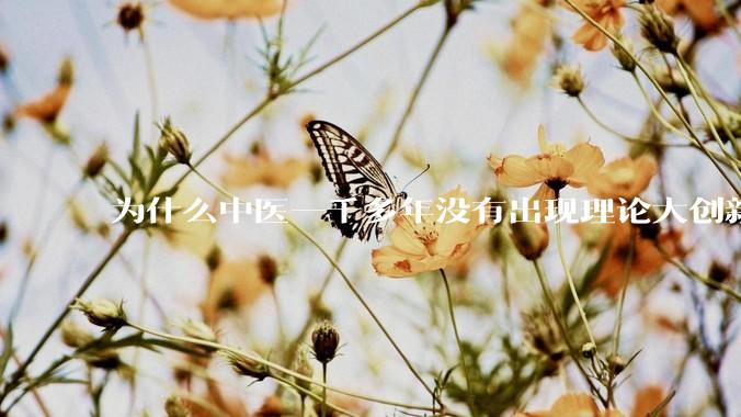 为什么中医一千多年没有出现理论大创新了？