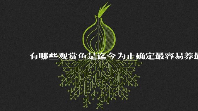 有哪些观赏鱼是迄今为止确定最容易养最不容易死的？