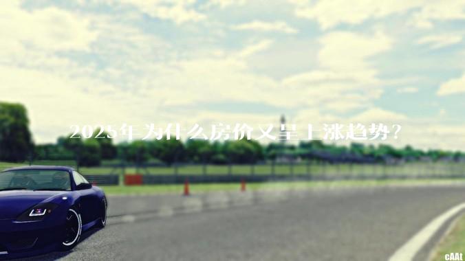 2025年为什么房价又呈上涨趋势？