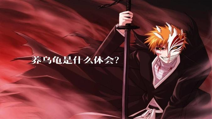 养乌龟是什么体会？